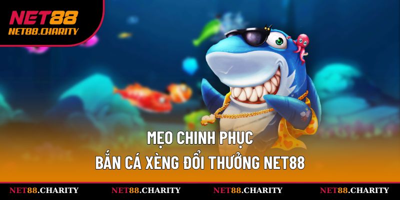 Học hỏi mẹo săn cá bội thu từ chuyên gia