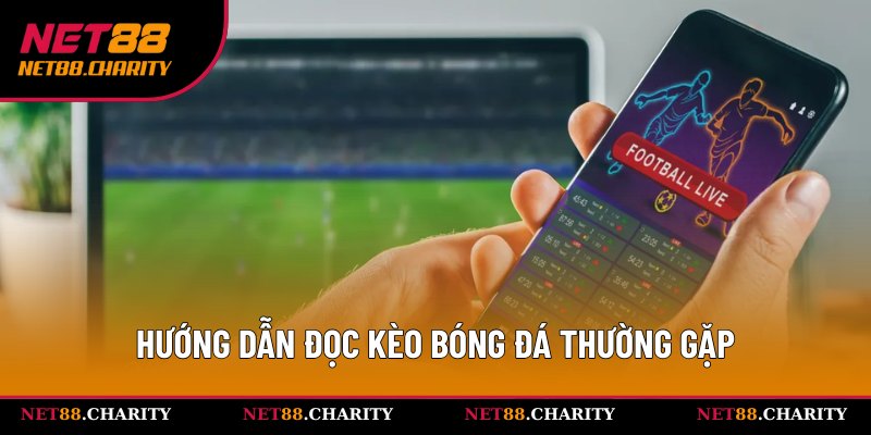Hướng dẫn quy trình đọc kèo đúng ở Net88